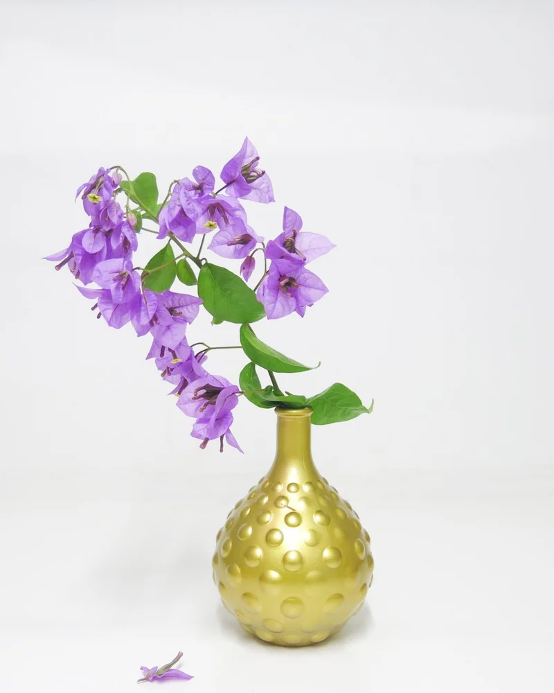 ميسي Gold Bubble Glass Vase (15 Cm)