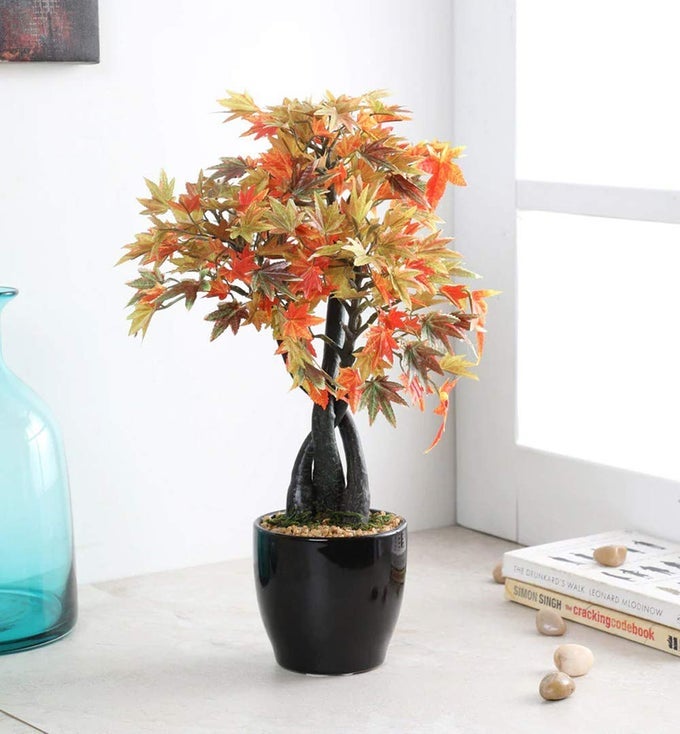 ARTIFICIAL JAPANESE MAPLE PLANT WITH CERAMIC POT MULTICOLOR 1 PIECE