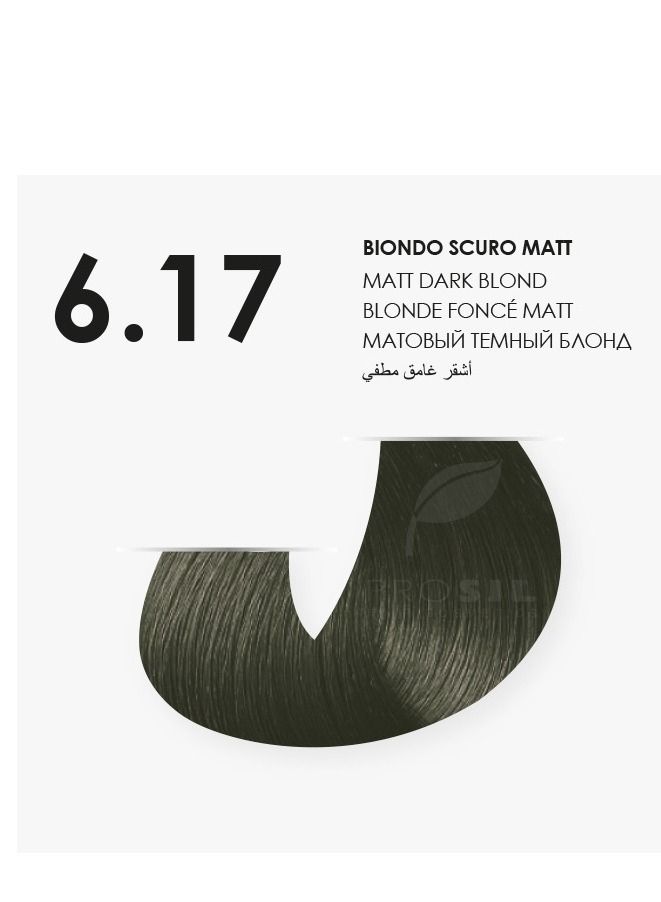 بروسيل صبغه شعر كريمي أشقر  زيتوني مطفي غامق  رقم 6.17 - Image 2