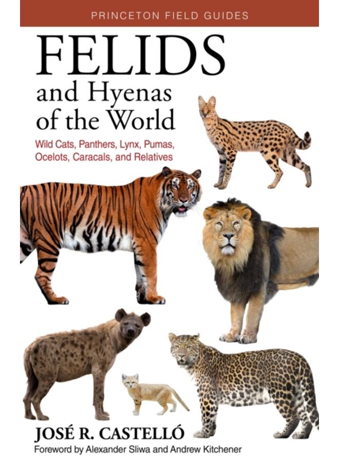 Felids and Hyenas of the World : Wildcats, Panthers, Lynx, Pumas, Ocelots, Caracals, and Relatives