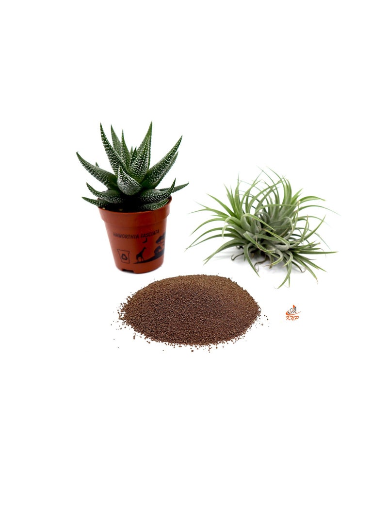 KNP Disper CaB Best for Boron & Calcium Deficiencies 500 grams - Image 1