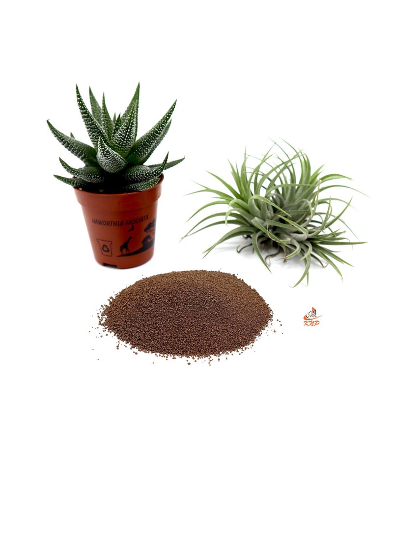 KNP Disper CaB Best for Boron & Calcium Deficiencies 500 grams - Image 2