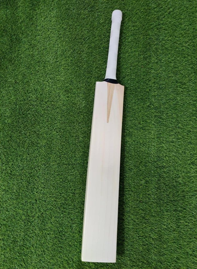 تبلد مضرب كريكيت SAG Timeless Edition من خشب الصفصاف الإنجليزي - حجم كامل | حواف سميكة | مقبض من قصب سنغافورة | جاهز للعب | للكرة الجلدية - Image 5