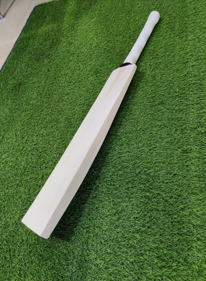 تبلد مضرب كريكيت SAG Timeless Edition من خشب الصفصاف الإنجليزي - حجم كامل | حواف سميكة | مقبض من قصب سنغافورة | جاهز للعب | للكرة الجلدية - Image 1