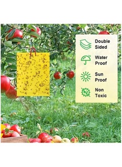 Just Quality 10pcs, Yellow Double-sided Sticky Traps For Bug, Fly Trap, Insect Trap - Catch Multiple Flying Insects With Natural Mold Control Sticker - Perfect For Gardening 25cmx20cm  - Image 2