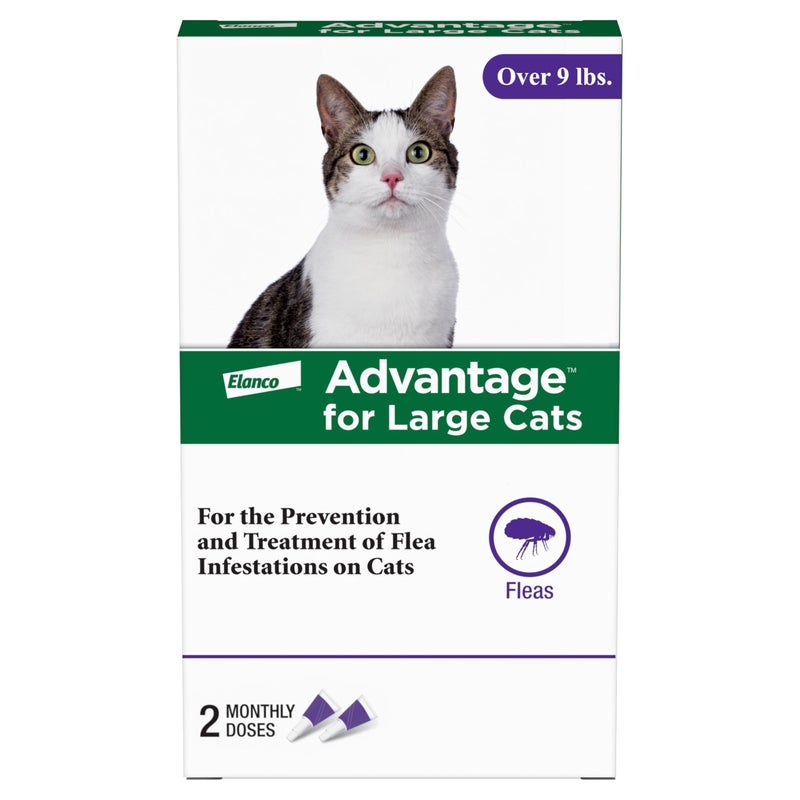 Advantage Topical Cat Flea Treatment and Prevention for Large Cats Over 9 lbs. | Apply Flea Drops Monthly | 2 Treatments - Image 1
