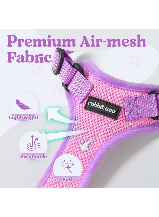 رابيتجو طقم حزام ومقود للقطط من rabbitgoo، حزام صدرية ناعم مقاوم للهروب قابل للتعديل للمشي في الهواء الطلق، سترة قطط صغيرة سهلة التحكم وجيدة التهوية مع شرائط عاكسة، وردي وأرجواني، مقاس XS - Image 5
