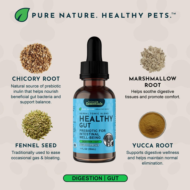 Animal Essentials Healthy Gut - Herbal Prebiotic for Dogs & Cats, Gut Health Blend, Herbal Formula, Organic Human Grade Herbs, Veterinarian Recommended, Liquid Tonic - 2 Fl Oz - Image 3