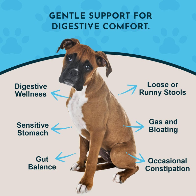 Animal Essentials Healthy Gut - Herbal Prebiotic for Dogs & Cats, Gut Health Blend, Herbal Formula, Organic Human Grade Herbs, Veterinarian Recommended, Liquid Tonic - 2 Fl Oz - Image 2