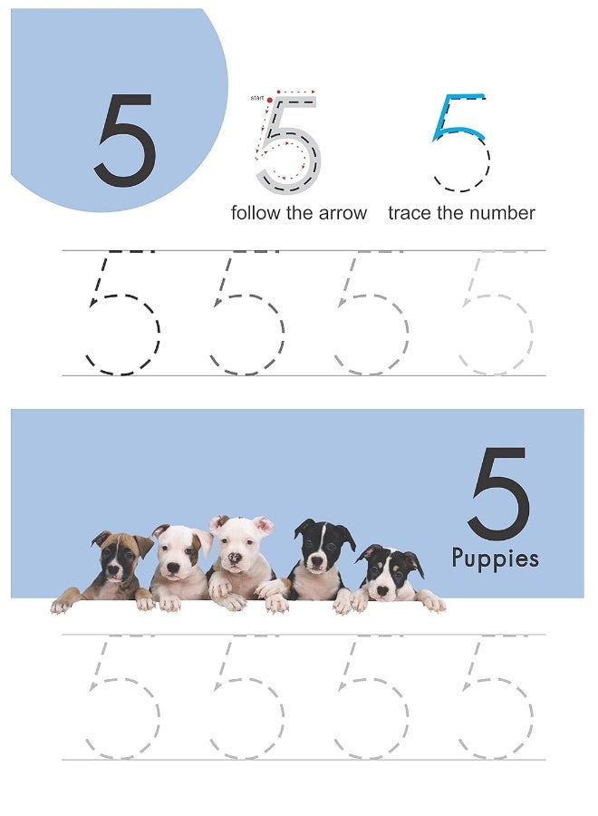 Wipe & Clean Numbers Funbook  - Image 4