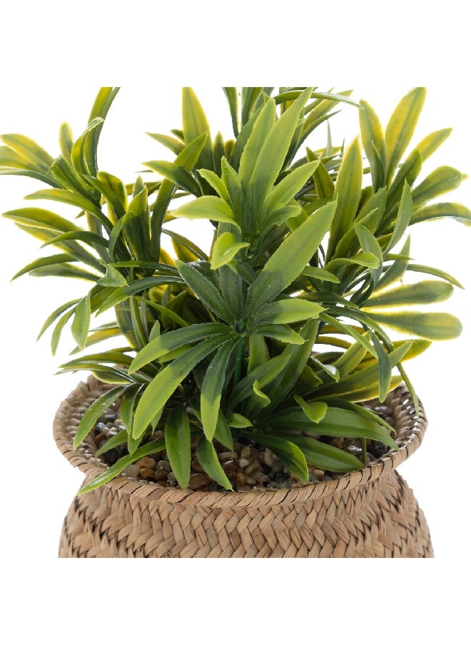 atmosphera Easy Maintenance Realistic Looking Decorative Artificial Plant with Pot Green and Beige 20 cm 196755  - Image 2