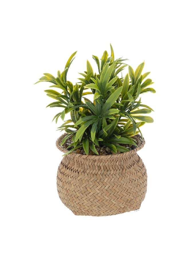 atmosphera Easy Maintenance Realistic Looking Decorative Artificial Plant with Pot Green and Beige 20 cm 196755  - Image 1