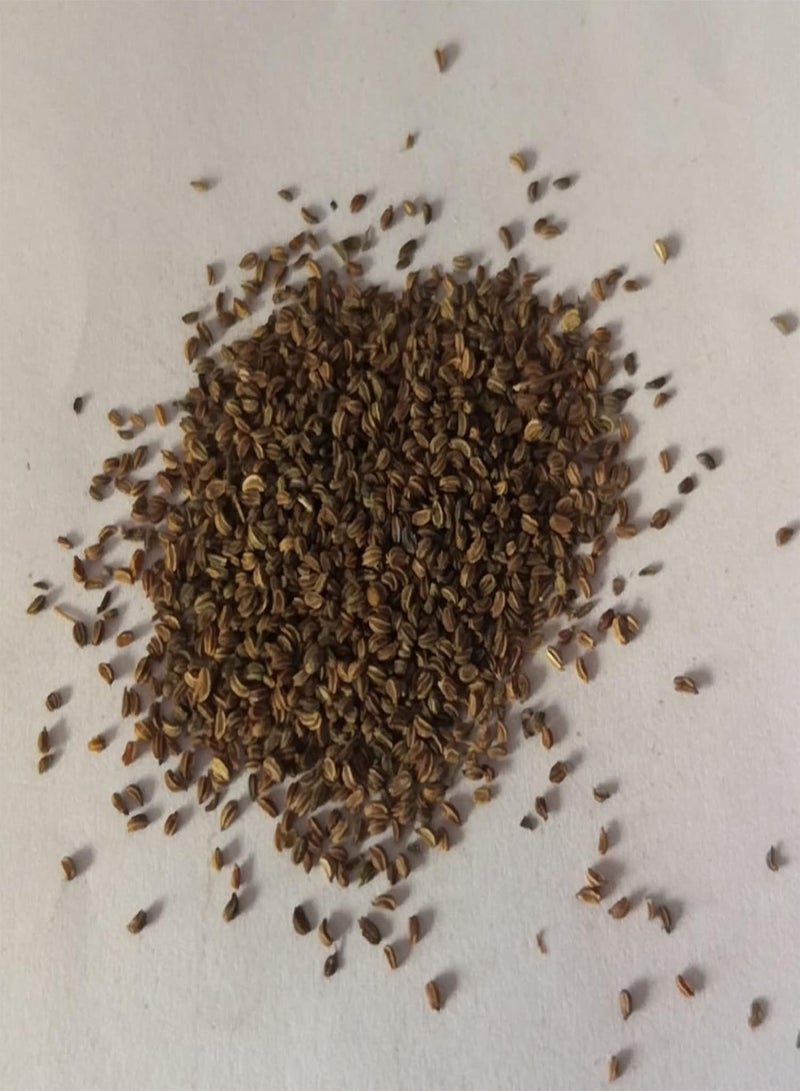 جي جوت 100 قطعة من بذور نبات إيرينجو فويتيدوم، نبات إيرينجو للزينة في حديقة المنزل والحديقة والحديقة الخارجية، 1 بذور إيرينجو فويتيدوم - Image 2