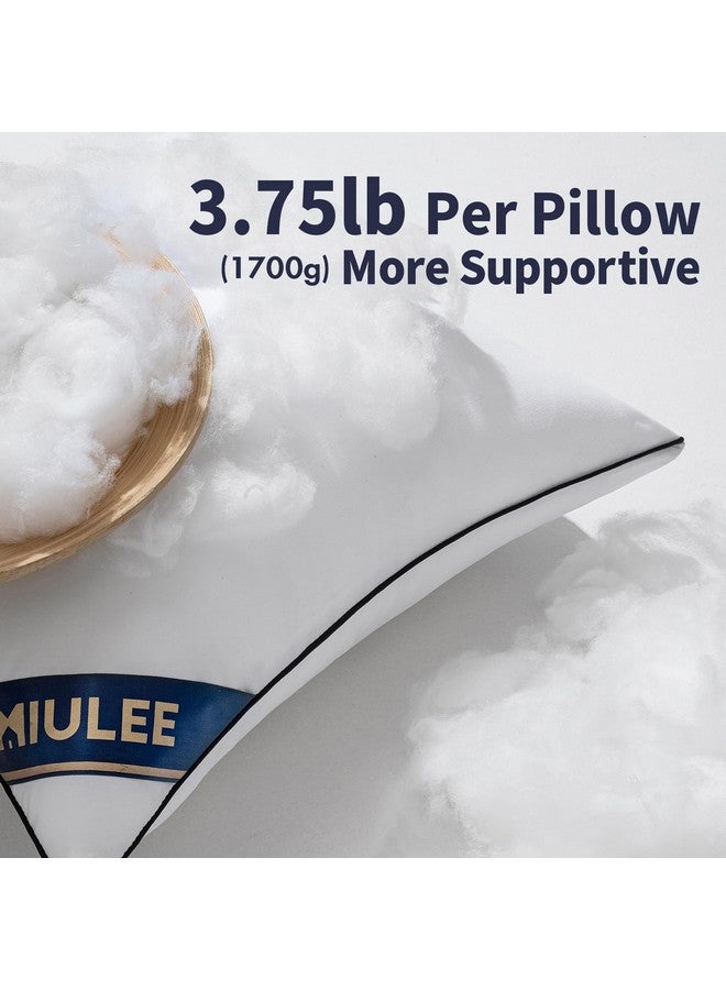 MIULEE 26x26 Euro Pillow Inserts Set of 2 Throw Pillows 26 Inch Premium Down Alternative Pillow Inserts Decorative Pillow Stuffer for Sofa, Couch (26x26 inch, Set of 2) - Image 2