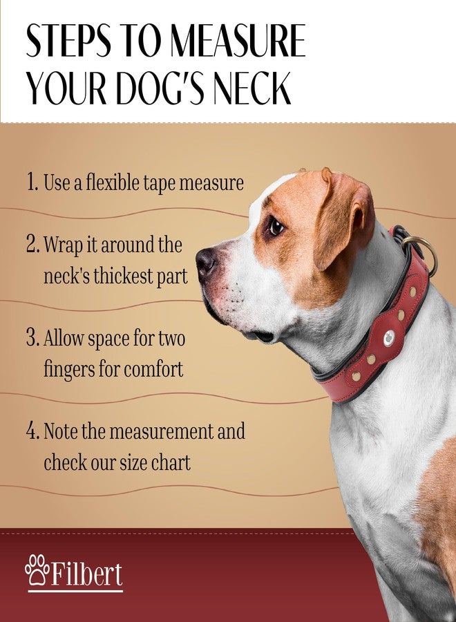 Filbert Leather Dog Collar with Airtag Holder, Airtag Collar for Medium Dogs, Leather, Vegetable Tanned Full Grain, Adjustable for All Breeds, Heavy Metal Buckle, Ultra-Durable - Image 5