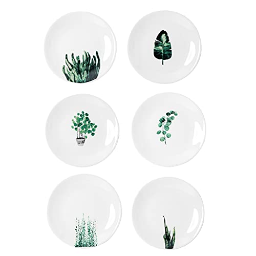YCBH 6 Inch Set of 6 Assorted Designs, Small Porcelain Plates with Plants Pattern,White Ceramic Dinnerware for Appetizer Luncheon Snacks Dessert Serving Bread, Microwave Oven Dishwasher Safe - Image 1