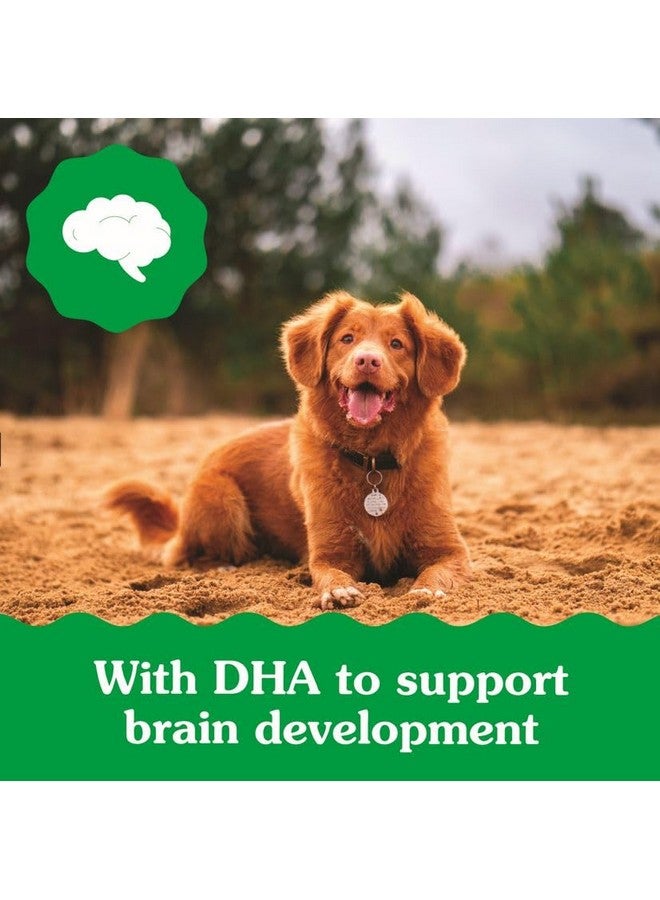 Greenies Puppy Regular Size Natural Dental Dog Treats, 6 oz. Pouch (6 Treats) - Image 4