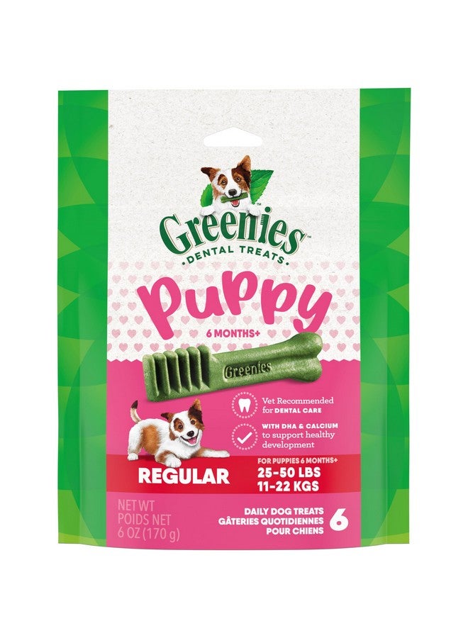 Greenies Puppy Regular Size Natural Dental Dog Treats, 6 oz. Pouch (6 Treats) - Image 1