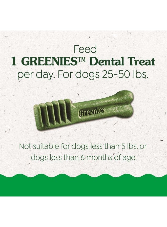 Greenies Puppy Regular Size Natural Dental Dog Treats, 6 oz. Pouch (6 Treats) - Image 5