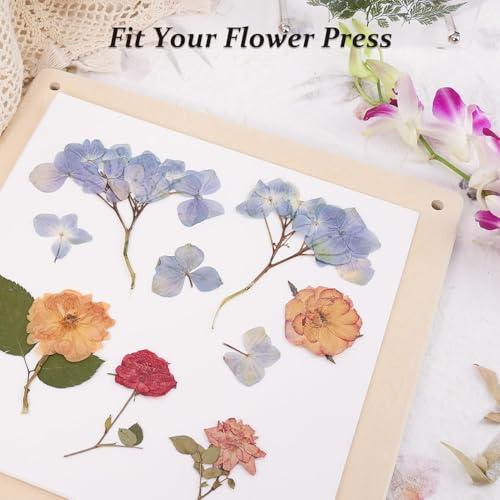 Aboofx 26 Sheets Blotting Paper for Flower Press, 9 x 9 inch Highly Absorbent and Reusable Blotter Papers for Flower Pressing, Flower Press Paper Sheets - Image 5