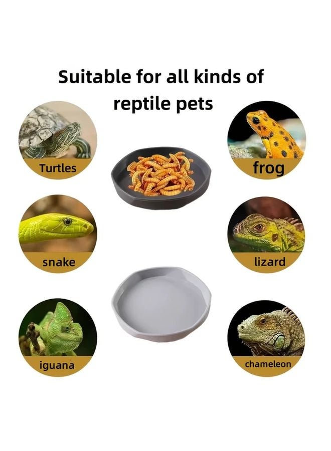 4 قطع مغطس طعام الحيوانات الأليفة الزاحف بألوان المعكرون للزواحف والبرمائيات والطيور - Image 5