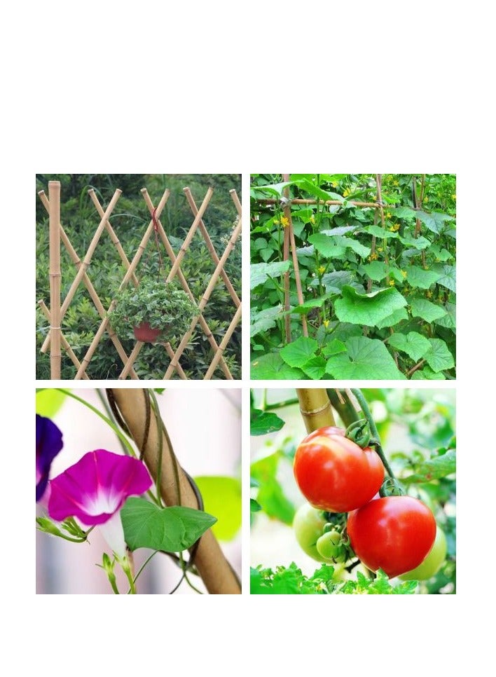 إيجاردن كارت Egardenkart® الخيزران / مجموعة دعم عصا عصا الحديقة  - Image 4