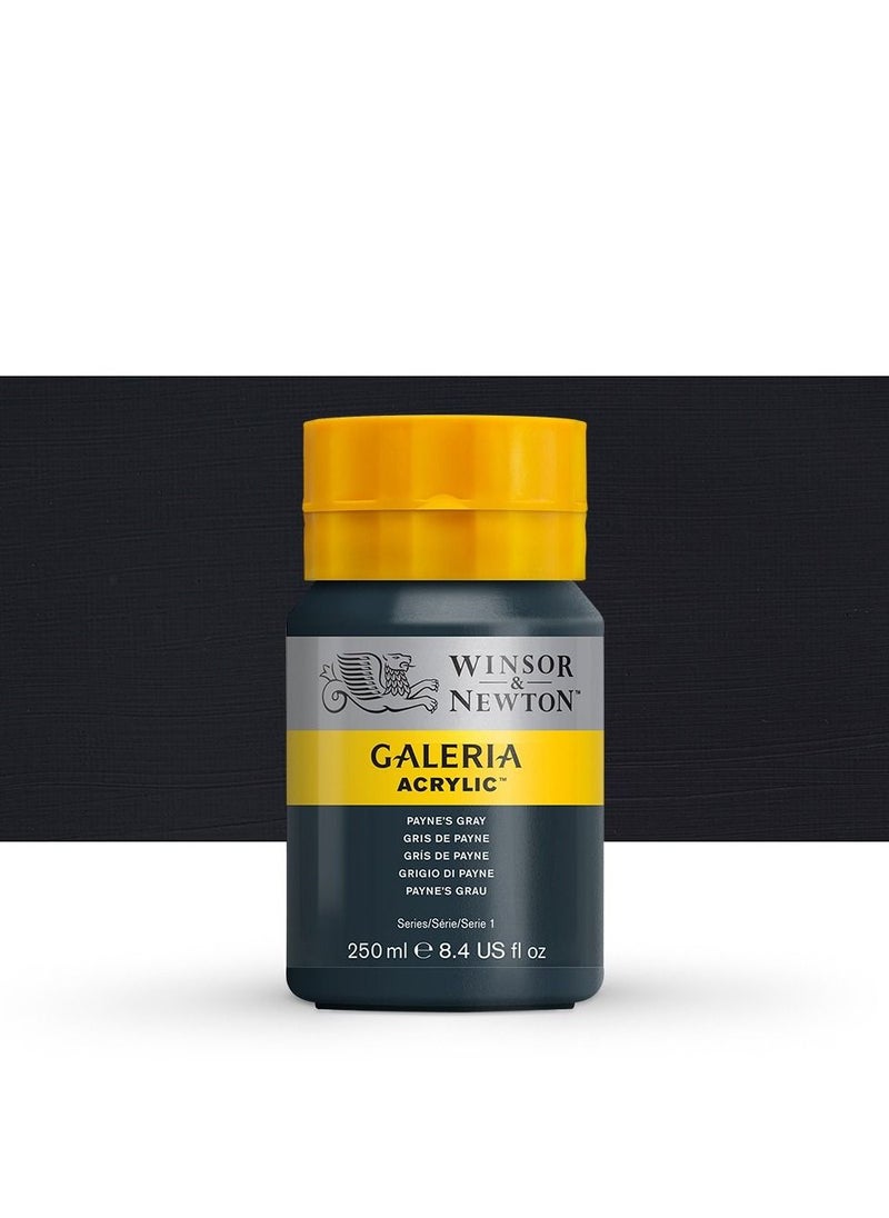 WINSOR & NEWTON Galleria acrylic paint paynes gray 250 ml 