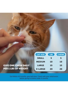 Pet Honesty Cat Skin & Coat Health Chews  Omegas, Vitamin C + E, Biotin Supplement, Soothes Skin And Promotes Shiny Coat, Cat Supplements & Vitamins  Chicken (30Day Supply)  - Image 4