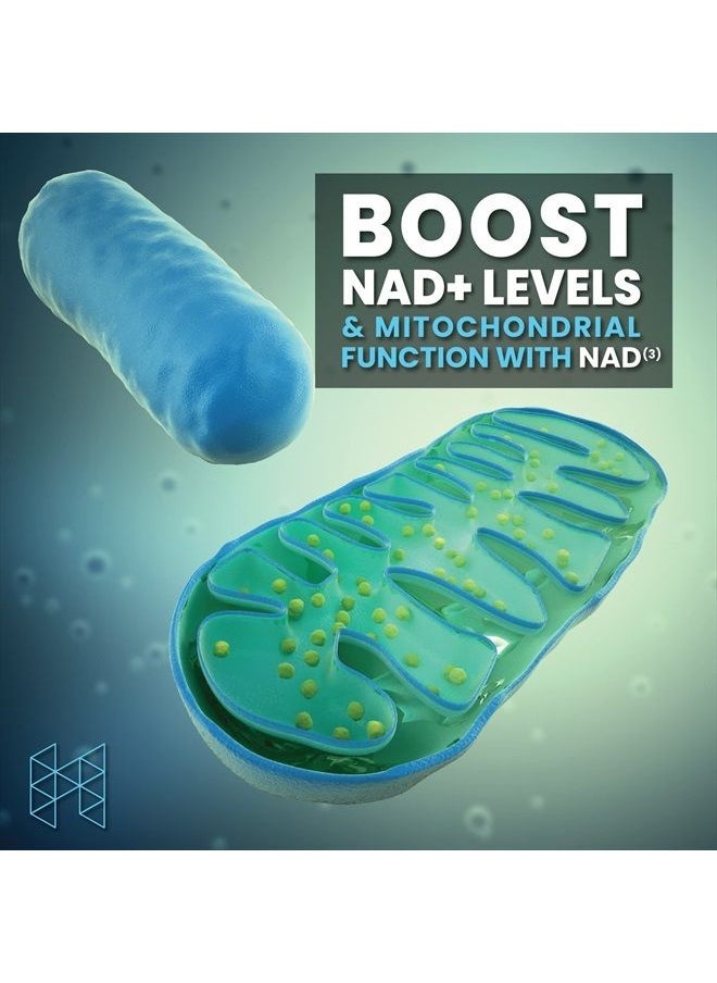 HPN - مكملات NAD3 NAD+ Booster | حجم إضافي لإمدادات 4 أشهر | مثبتة سريريًا ومختبرة بشكل مستقل - إصلاح التمثيل الغذائي | 311 مجم لكل وجبة - 240 كبسولة - Image 1