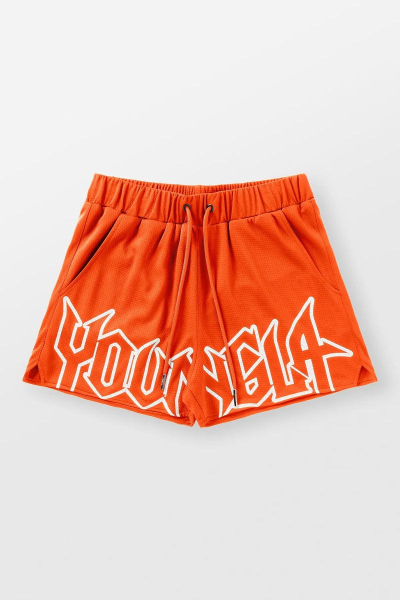 YOUNGLA Summer Mesh Quick-Dry Gym Shorts sky blue