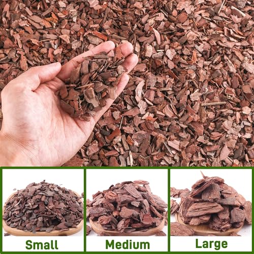 CJGQ 3qt Organic Orchid Potting Bark -Natural Mulch for Potted Plants, Root Development of Orchid Plants and Garden Soil Amendment Mix - Image 5