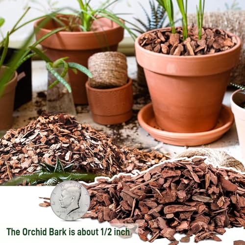CJGQ 3qt Organic Orchid Potting Bark -Natural Mulch for Potted Plants, Root Development of Orchid Plants and Garden Soil Amendment Mix - Image 3