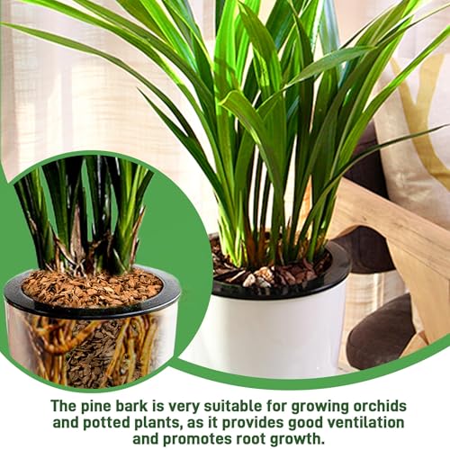 CJGQ 3qt Organic Orchid Potting Bark -Natural Mulch for Potted Plants, Root Development of Orchid Plants and Garden Soil Amendment Mix - Image 4