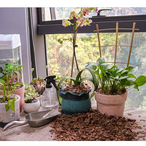 CJGQ 3qt Organic Orchid Potting Bark -Natural Mulch for Potted Plants, Root Development of Orchid Plants and Garden Soil Amendment Mix - Image 2