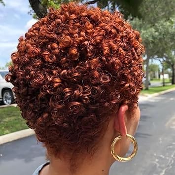 BeiSDWig Short Curly Pixie Wig Auburn Red Brown Hair Synthetic HeatResistant Fibre Afro Curly Hair Wigs for Women Female Wig Curly Hairstyles Short - Image 2