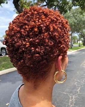 BeiSDWig Short Curly Pixie Wig Auburn Red Brown Hair Synthetic HeatResistant Fibre Afro Curly Hair Wigs for Women Female Wig Curly Hairstyles Short - Image 1