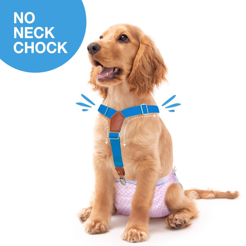 Pet Soft Dog Suspenders 2 Pieces Female Dog Diaper Suspenders for Dogs Diaper Keeper Suspender for Doggy Skirt, Dress, Diapers (Gold & Blue, XS/S) - Image 2