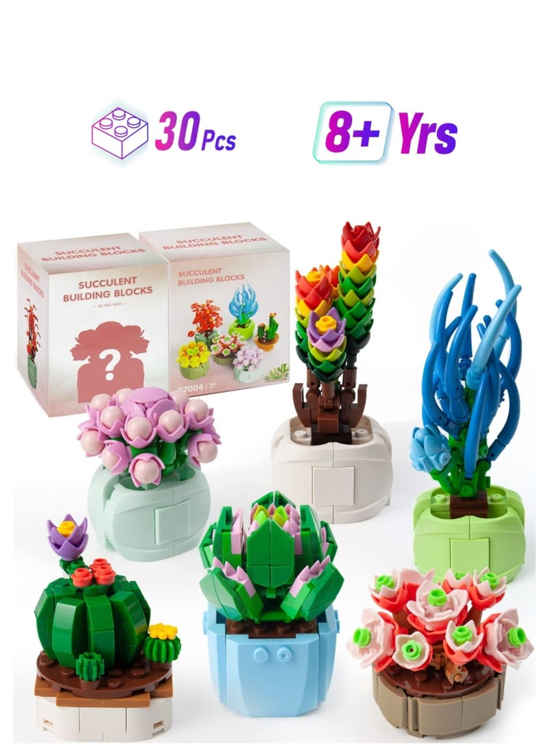 SOLARAE Succulents Bonsai Building Kit, Succulents Blind Box Series, Artificial Flower Botanical Collection, Plant Decor Building Set for Kids Adults Home Office, Random 2 Boxes - Image 1