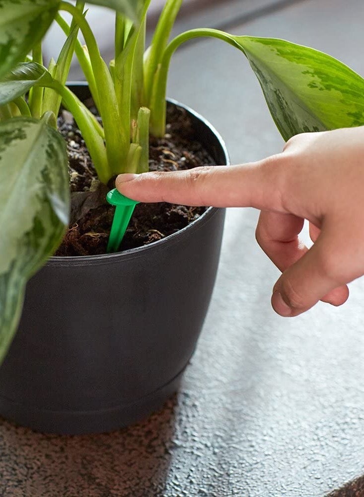 Miracle-Gro Indoor Plant Food Spikes, 24 Spikes, 2 Months Supply  - Image 4