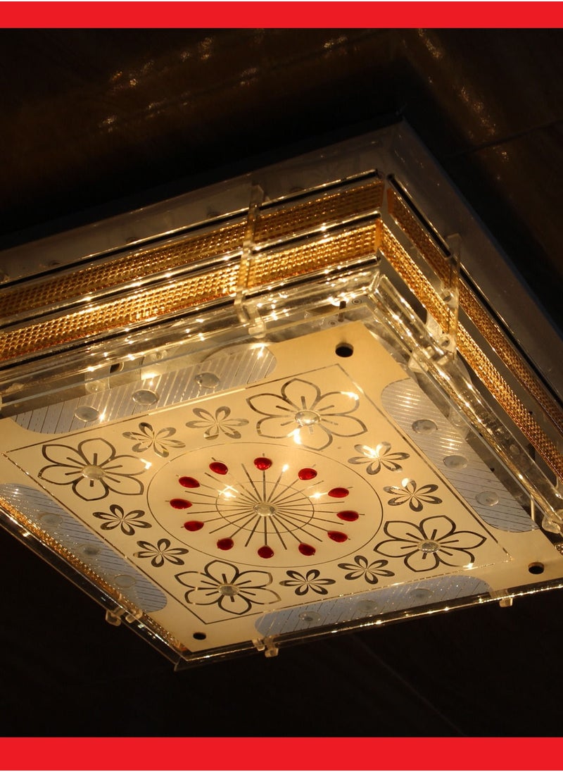 Generic Ceilng Light  A807  - Image 5