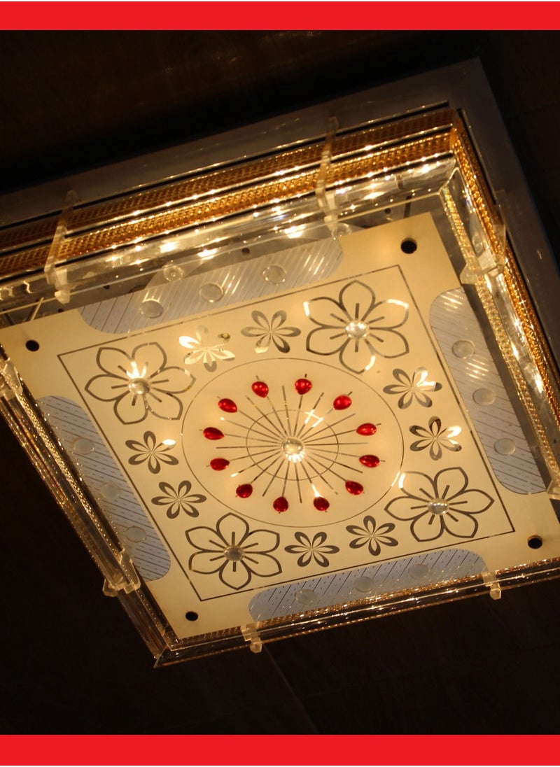 Generic Ceilng Light  A807  - Image 3