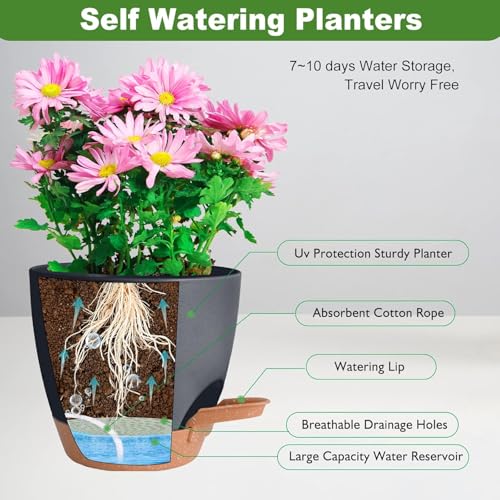 INKULTURE Flower Pot for Indoor Plants – Self Watering Plant Pot Set of 5, Multi Size Plastic Planter with Drainage Hole & Watering Lip (7/6.5/6/5.5/5 Inch) Black | Pots for Home, Office & Succulents - Image 2