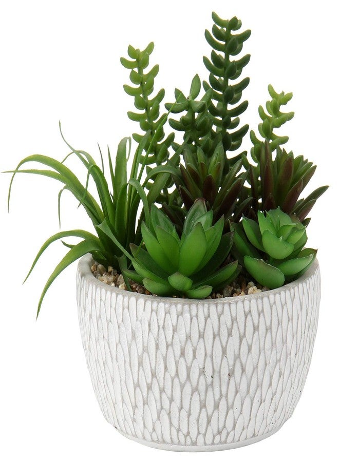 Briful Small Fake Plants Assorted Faux Succulents in Pots Realistic Succulents Plants Artificial with Cement Pots for Home Table Office Desk Bathroom Shelf Living Room Decor - Image 1