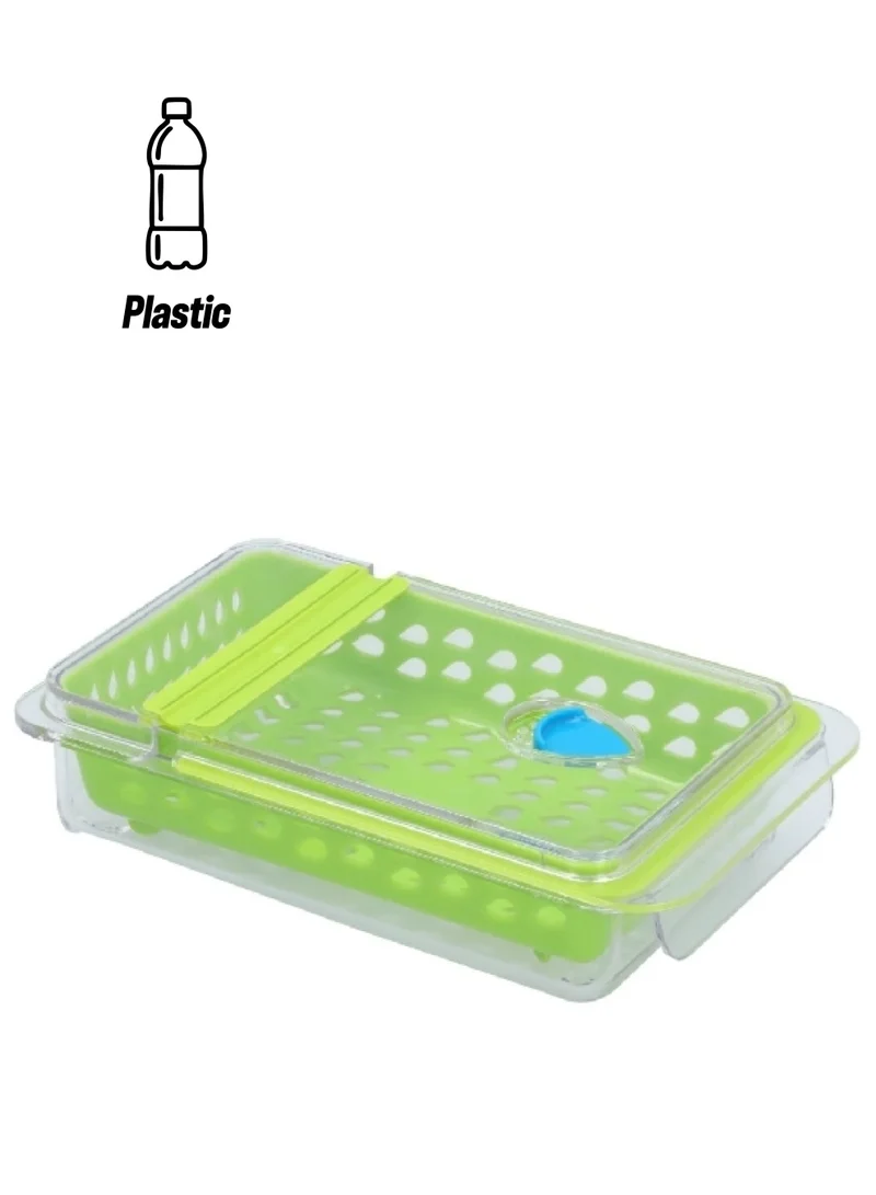 Felli Plastic Rectangular Dew Fresh Herb and Produce Storage Container Green and Clear NVHG08