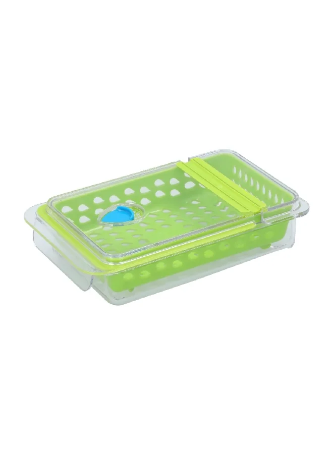 Felli Plastic Rectangular Dew Fresh Herb and Produce Storage Container Green and Clear NVHG08