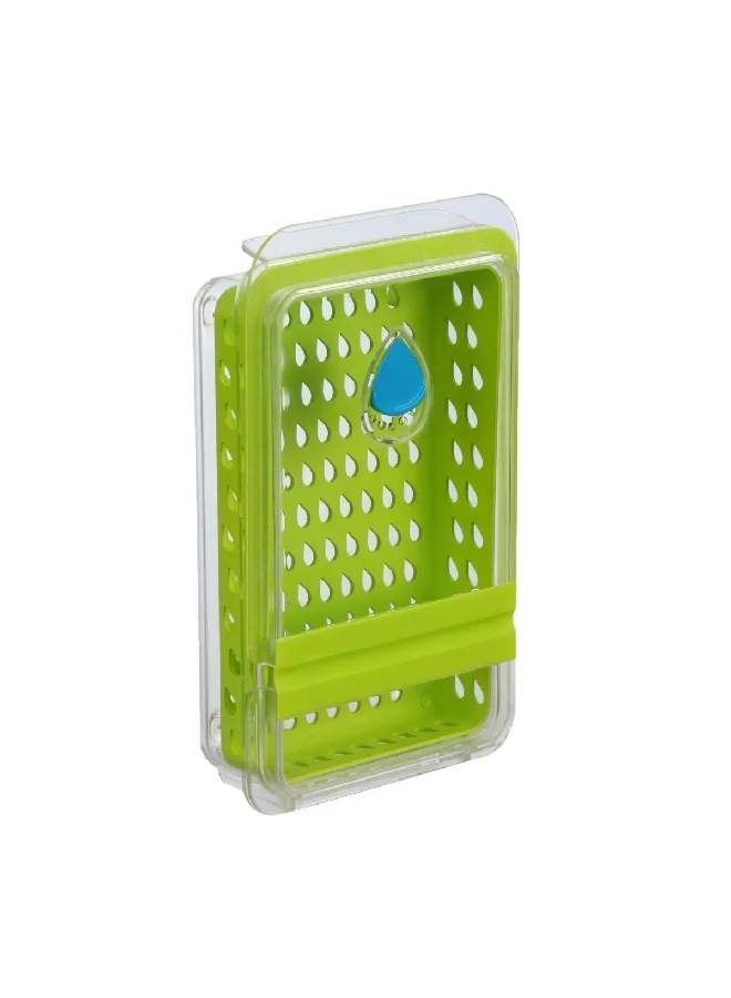 Felli Plastic Rectangular Dew Fresh Herb and Produce Storage Container Green and Clear NVHG08
