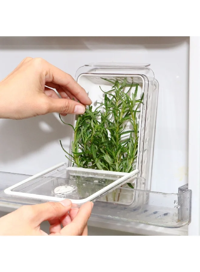Felli Plastic Rectangular Dew Fresh Herb and Produce Storage Container Green and Clear NVHG08