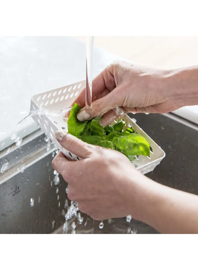 Felli Plastic Rectangular Dew Fresh Herb and Produce Storage Container Green and Clear NVHG08
