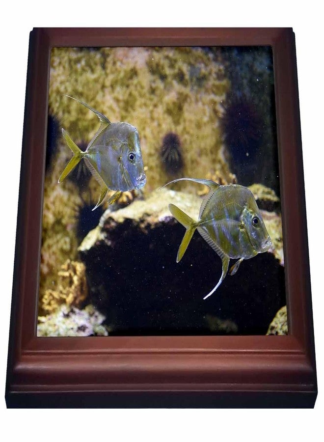 8x8 Trivet with 6x6 Ceramic Tile - Lookdown Fish Swimming in Aquarium Animal