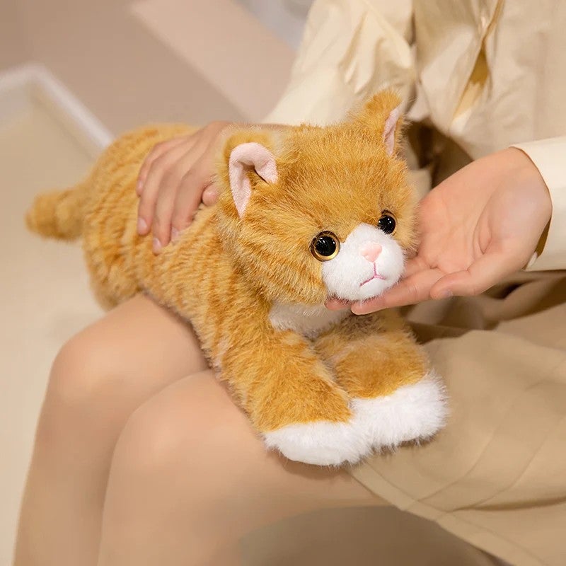 Y&D Realistic Cat Stuffed Animal Toy – Soft Plush Farm Cat for Kids, Lifelike Design, Cuddly & Huggable Plush Pet for Bedtime Comfort - Image 4